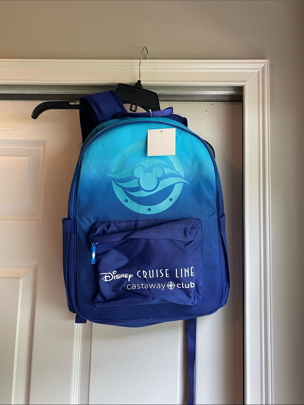 Disney Cruise Castaway Club back pack